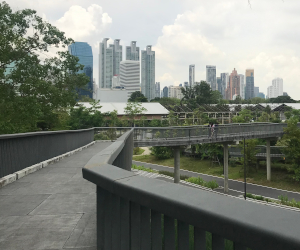 公園内のスカイウォークの様子