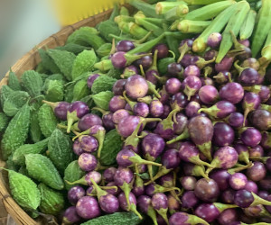 タイスタイルのサラダを意識して野菜を並べている様子