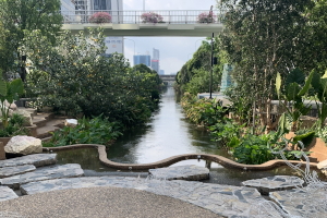 チョンノンシー水路公園の風景