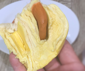 中は柔らかくなっている様子(モントーン)