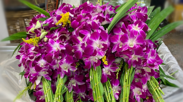 パーククローンタラートのアイキャッチ