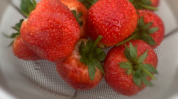 タイ産のイチゴのアイキャッチ