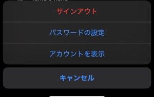 iPhone 設定画面2