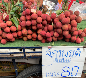 チェンマイ産のジャッグラパットを売っているライチ専門屋台