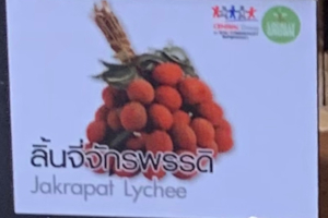 「Jakrapat Lychee」と書いてあるプライスカードの様子