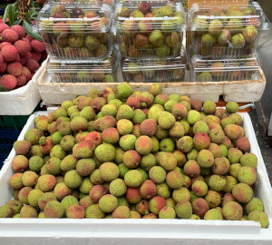 中国産のグリーン種 サノムイム「妃子笑」