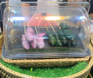 左側がミヤンカムブアルアン、右側が普通のミヤンカム