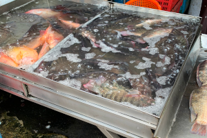 ノンタブリー市場　活魚系の店の様子