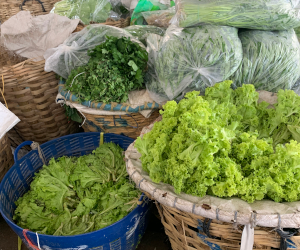 八百屋に並ぶ野菜の様子