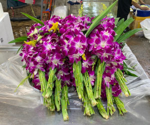 ICPフラワーマーケットの花屋の様子