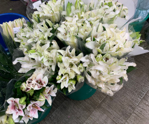 周辺地区の花屋の様子