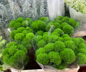 周辺地区の花屋の様子