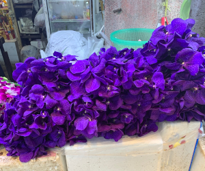 ICPフラワーマーケットの花屋の様子