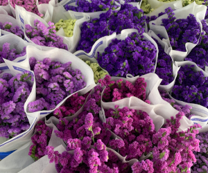 周辺地区の花屋の様子