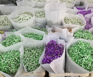 周辺地区の花屋の様子