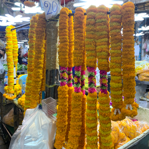 長いプアンマーライダオルアンの様子