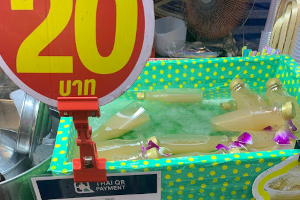 ボトル詰めタイプのナムターンソット