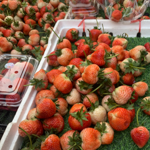 朝市の量り売りスタイルのタイ産イチゴの様子