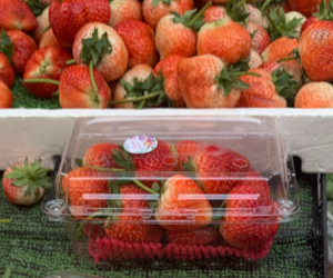 量り売りとパック詰めの両方を扱っている屋台の様子