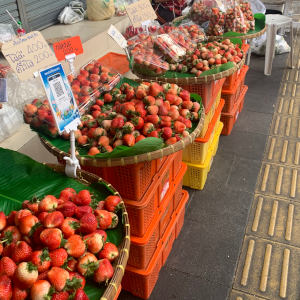 朝市のイチゴ屋台の様子