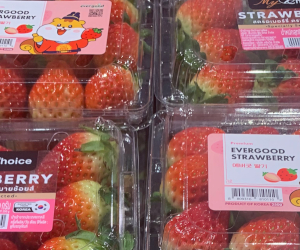 スーパーマケットの韓国産イチゴの様子(199バーツ)