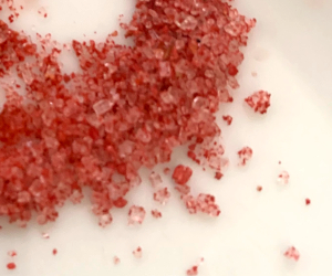 プリックグルアブアイの様子