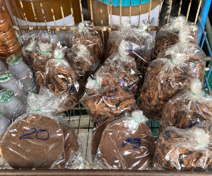 北部地方のタラートで見つけたトゥアナオの様子