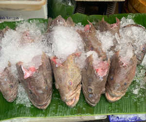 鮮魚屋台の様子
